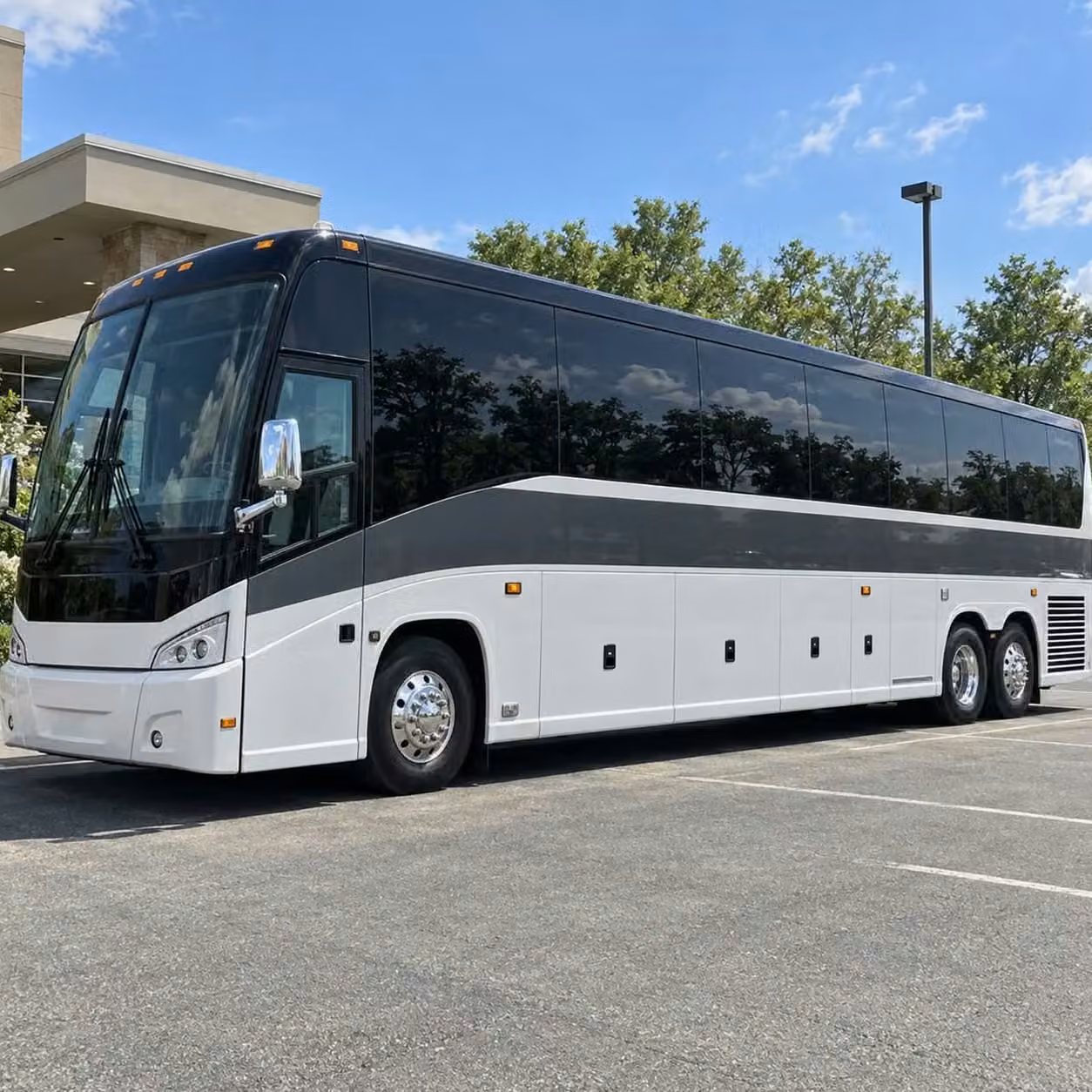 estero 56 passenger sports charter buses with undercarriage gear storage