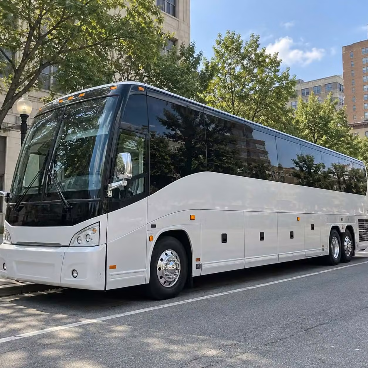 estero bachelor and bachelorette party bus rentals in estero