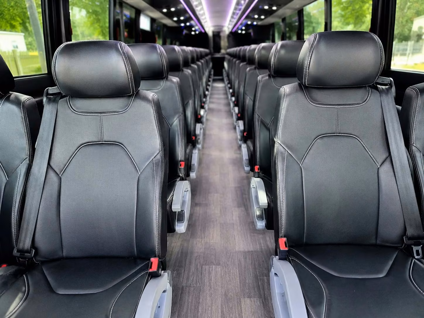estero group transportation services