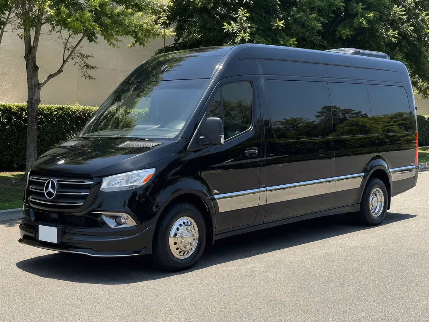 estero sprinter van rental with driver